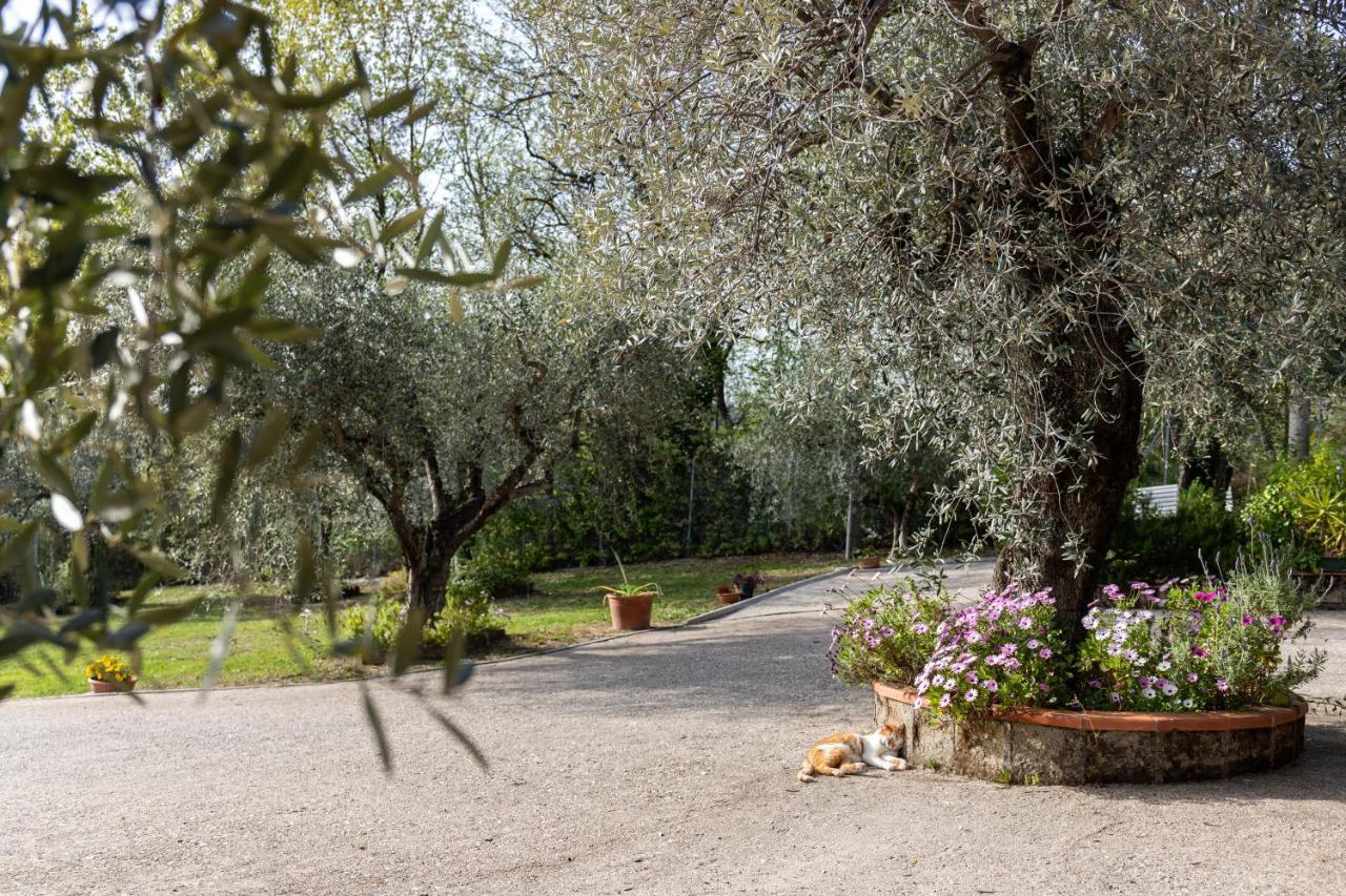 La Tana Delle Stelle B&B Di Charme E Relax Fara in Sabina Exterior foto