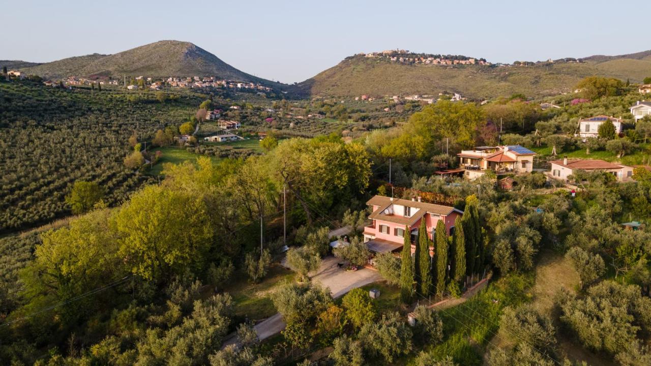 La Tana Delle Stelle B&B Di Charme E Relax Fara in Sabina Exterior foto