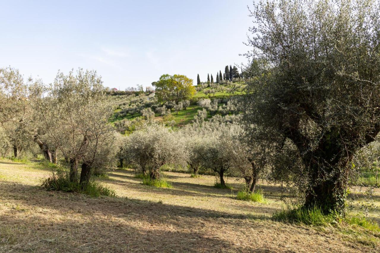 La Tana Delle Stelle B&B Di Charme E Relax Fara in Sabina Exterior foto