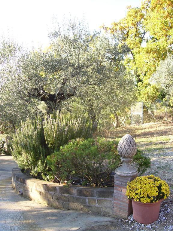 La Tana Delle Stelle B&B Di Charme E Relax Fara in Sabina Exterior foto